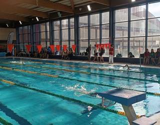 Sakana igeriketa kanpusa, Aste Santuan