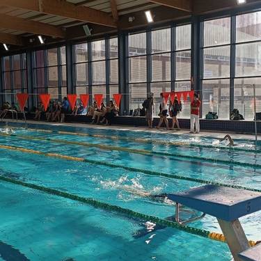 Sakana igeriketa kanpusa, Aste Santuan