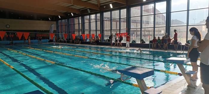 Sakana Igeriketa Taldea martxan