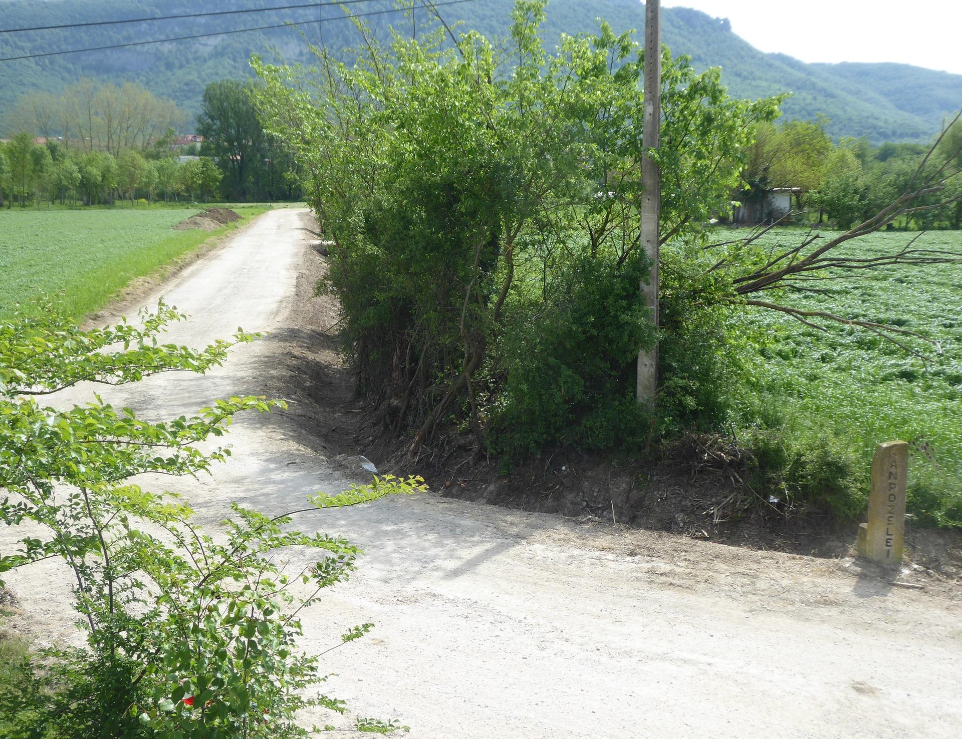 Dermioko hiru bide konpontzen ari da udala