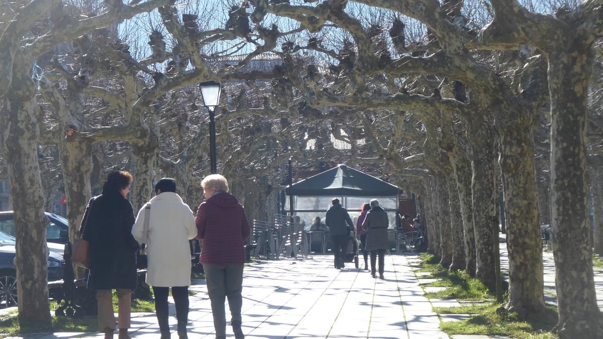 Errentan, muturren artean, %23,38ko aldea dago