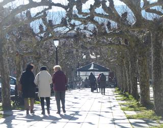 Errentan, muturren artean, %23,38ko aldea dago