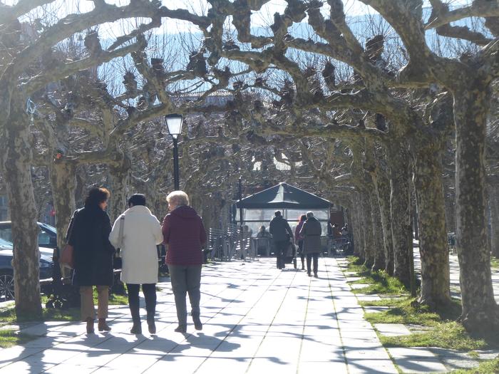 Errentan, muturren artean, %23,38ko aldea dago