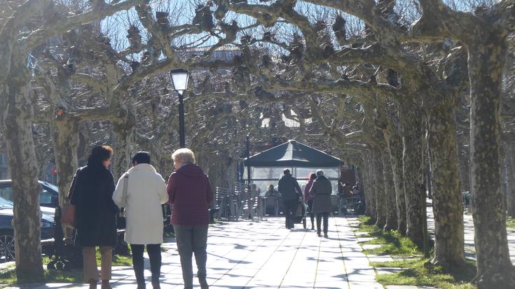 Errentan, muturren artean, %23,38ko aldea dago