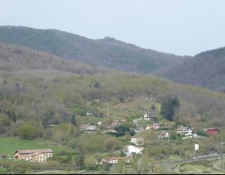 Baso aprobetxamendua enkante bidez salgai