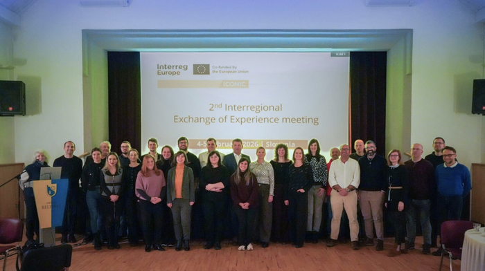 Iconic proiektuan sakontzen