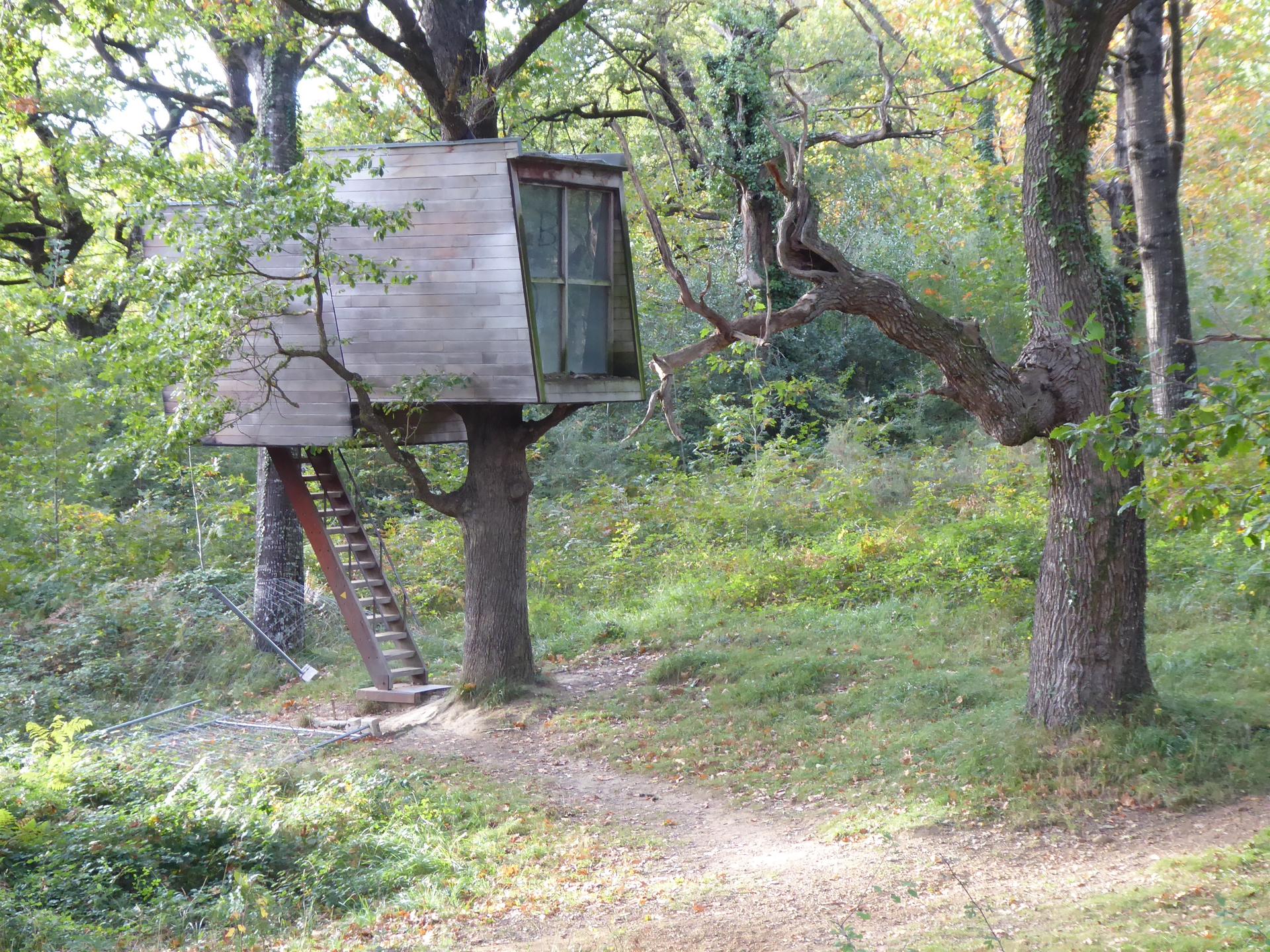 Oinez Basoarekin, naturari berea
