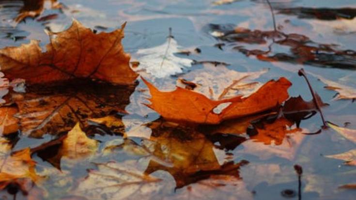 Eguraldi aldaketa eta gaurkotasuneko gaiak