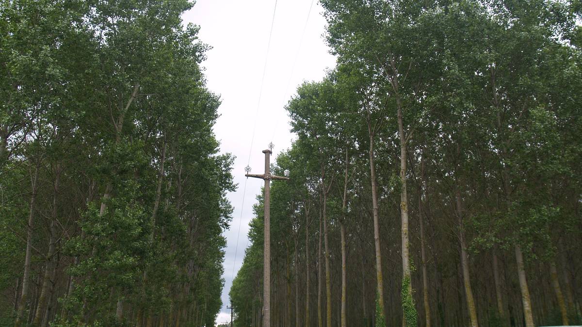 Atzera ere Irañeta eta Uharte arteko argindar linea berritzeko baimena eman dute