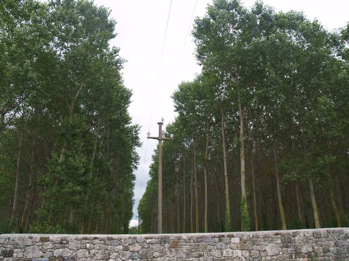 Irañeta eta Uharte arteko argindar linea berrituko dute