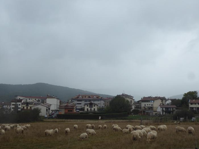 Udalak lursail generikoa emateko deialdia egin du