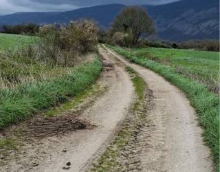Abeltzaintza azpiegiturak hobetzeko lanak eman nahi ditu udalak
