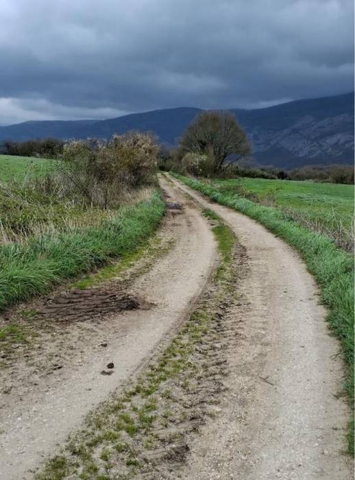 Abeltzaintza azpiegiturak hobetzeko lanak eman nahi ditu udalak