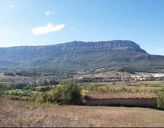 Enkantea sei dermioetako herri lurretako larreen aprobetxamendua emateko