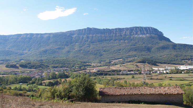 Enkantea sei dermioetako herri lurretako larreen aprobetxamendua emateko