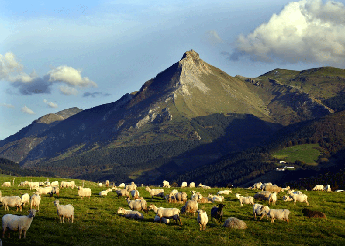 Txindoki