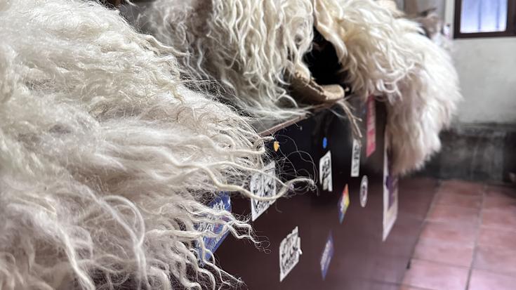 Narruek bizia hartu zutenekoa Bakaikun