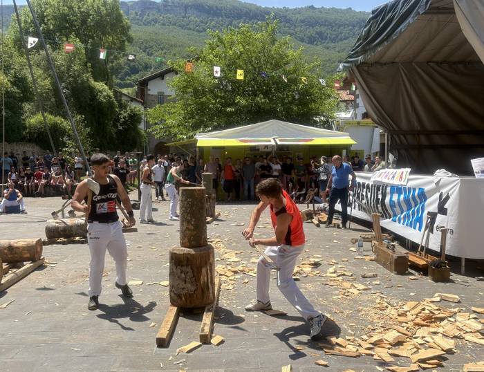 Oiarbide, Resano eta Mitxelenaren aukera