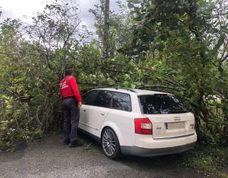 Haizeteak eragina izan du Sakanan