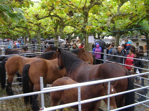 Asteburu bete feria