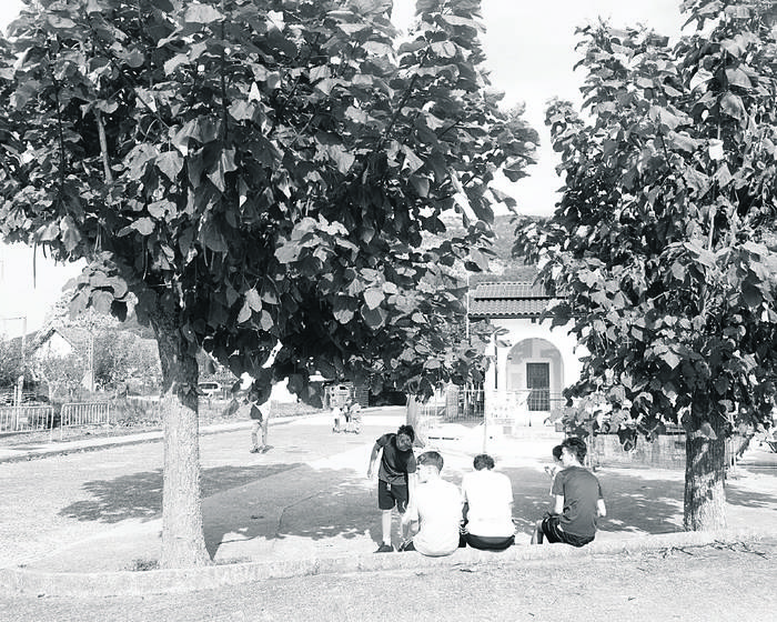 Sakanako lexia konposatuak (XIV)