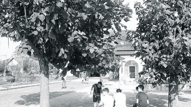 Sakanako lexia konposatuak (XIV)