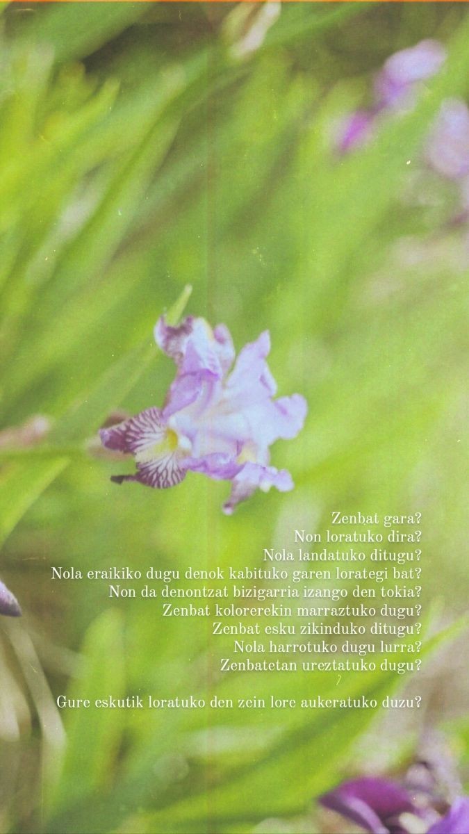Lorategi aske bat