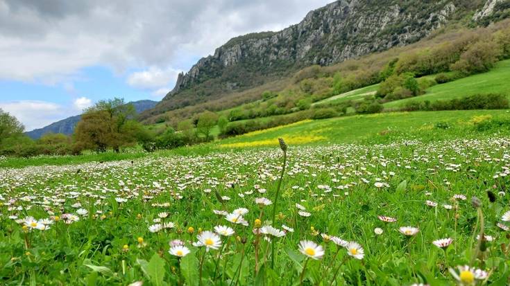 Arakil eta Irañetako ehiza barrutia eta Olatzagutiko eta Irurtzungo igerilekuak