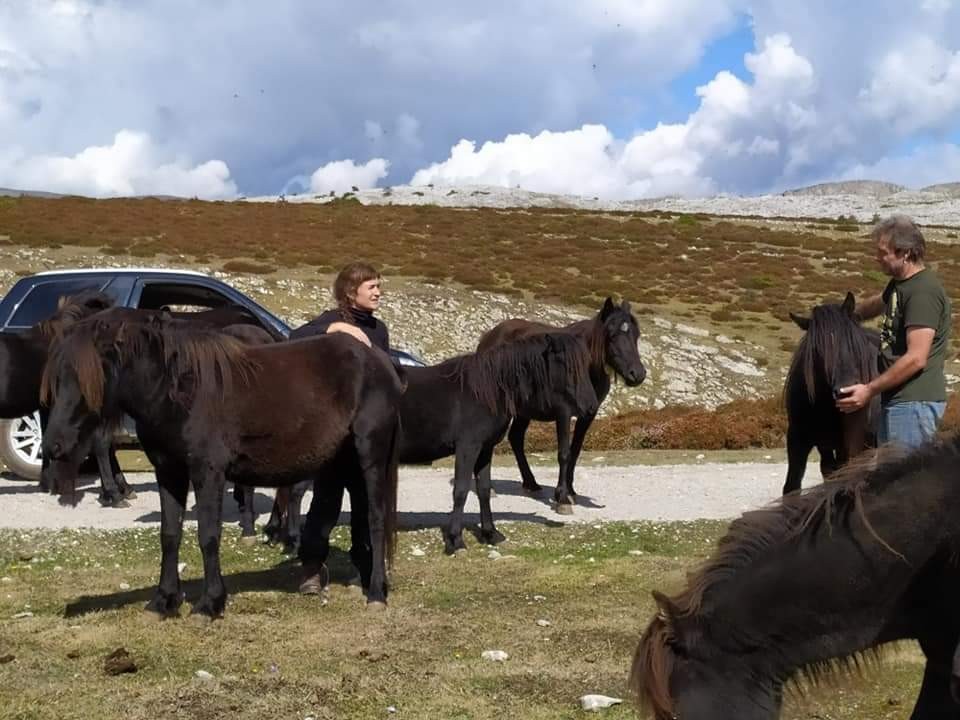 "Askotan ez gara ohartzen zaldiek zein behar dituzten"