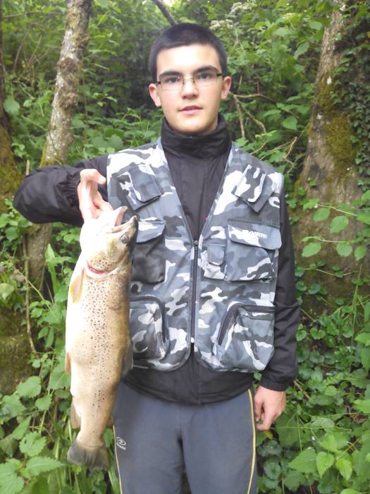 Hiru kiloko amuarraina eskutan 