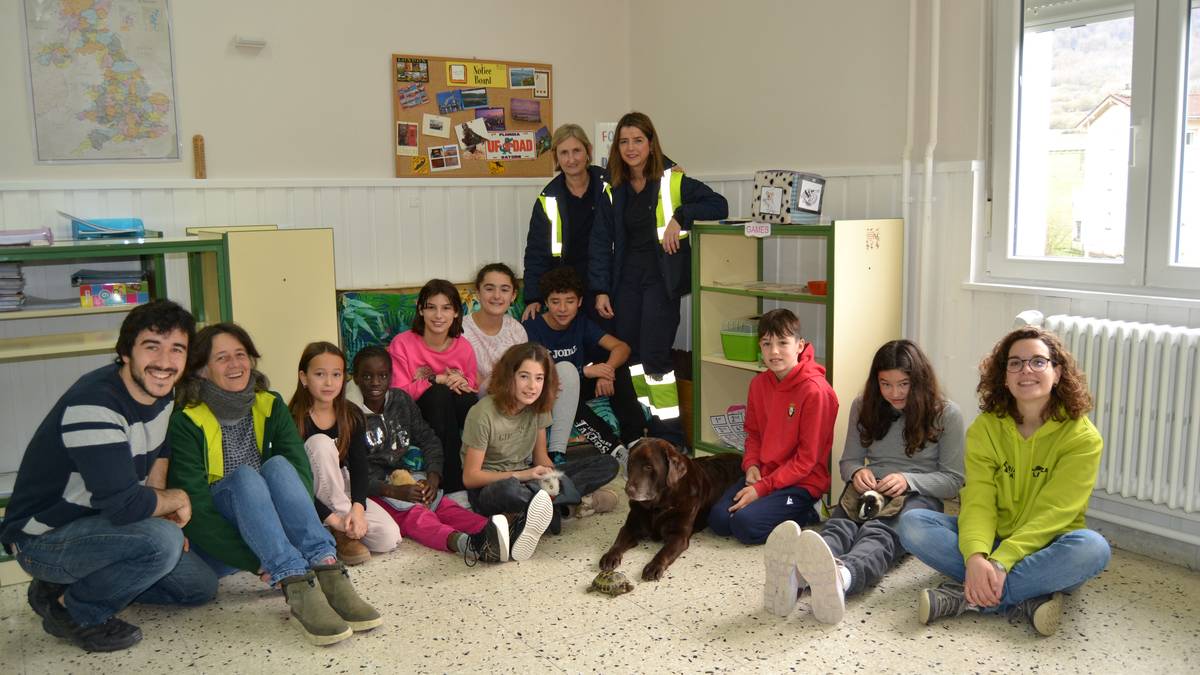 Animaliekin lagundutako txertaketa