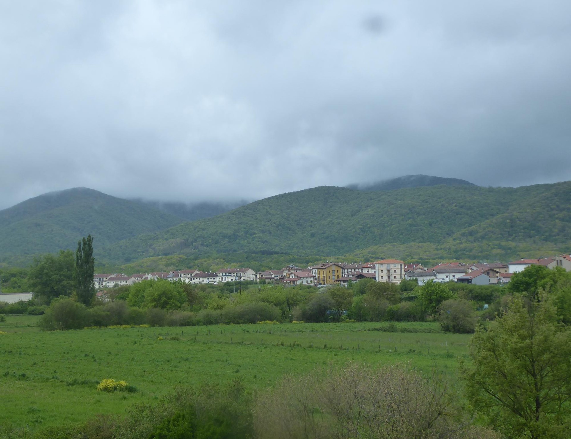 Egur lotea etxera eramateko aukera eskaini du udalak