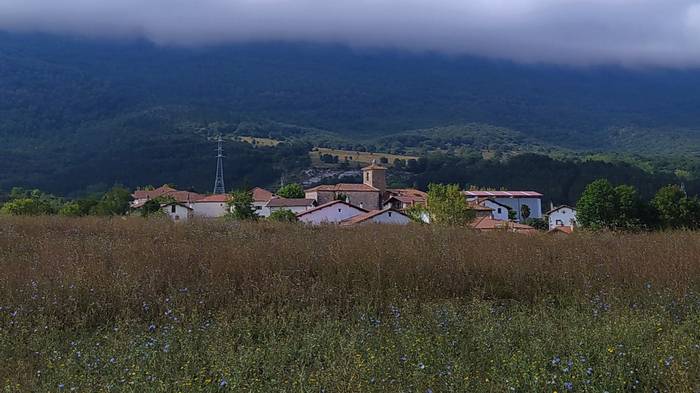 Baso aprobetxamendua saldu nahi du kontzejuak