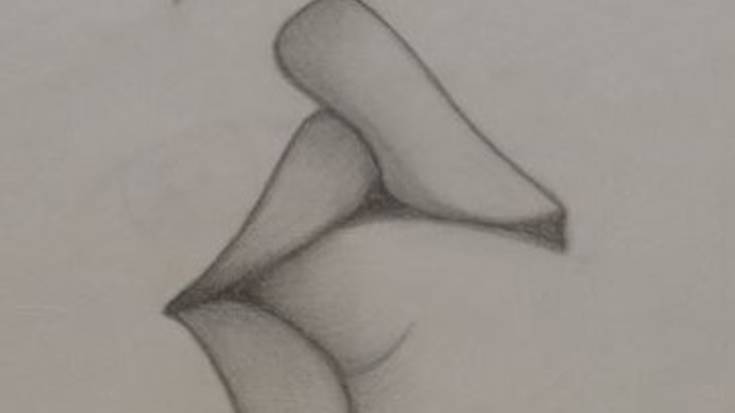 Amodio kantuak, politika,Zaballako espetxea, eklipsea, Itzulia, musika estiloak, lo egiteko aholkuak eta ardoa