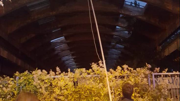 Asiako erlamin habia parea kenduta 