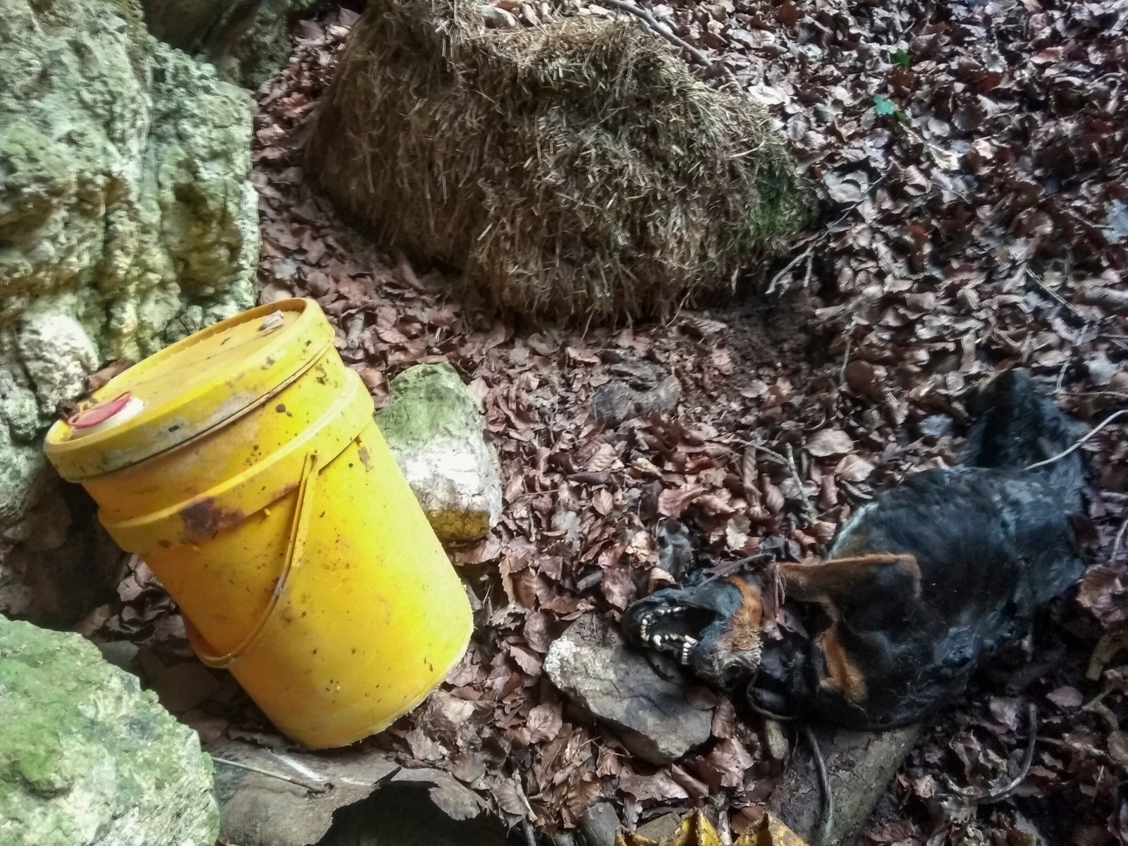 Espeleologoen esplorazioak segitzen du Andremango lezean