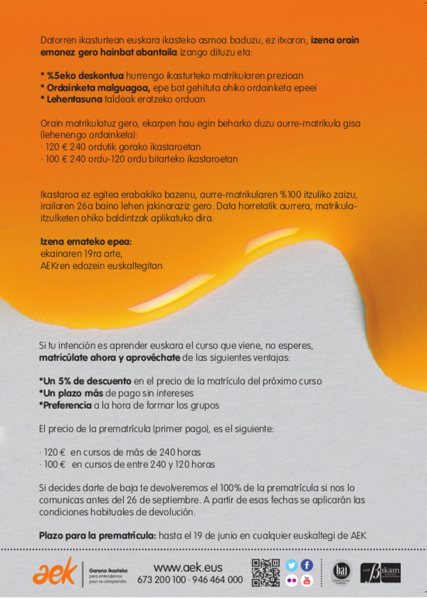 AURREMATRIKULA ESKAINTZA (ZEHAZTASUNAK)