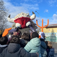 Zelandiko festa