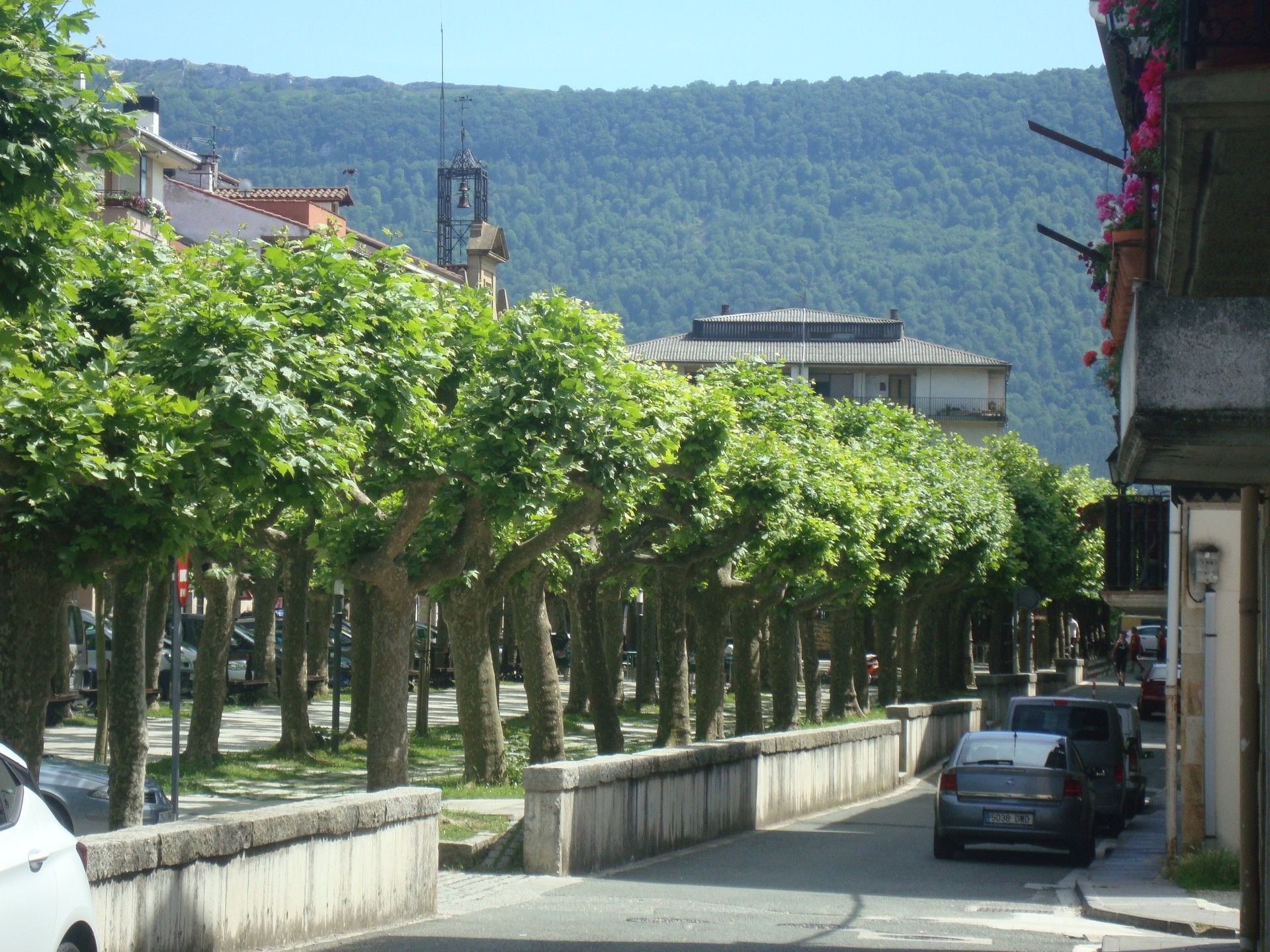 Su gainean saltoka