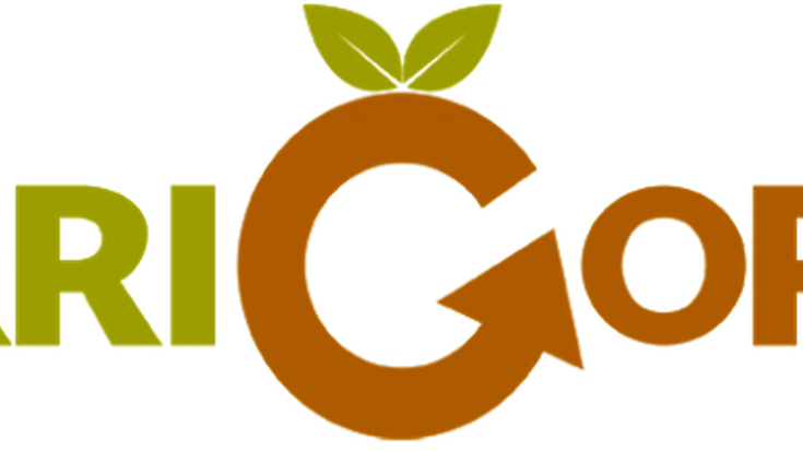 Muskizeko ihesaldia, politika, Josu Zabala Salegi, Agenda eta Errigora kutxaren zozketa