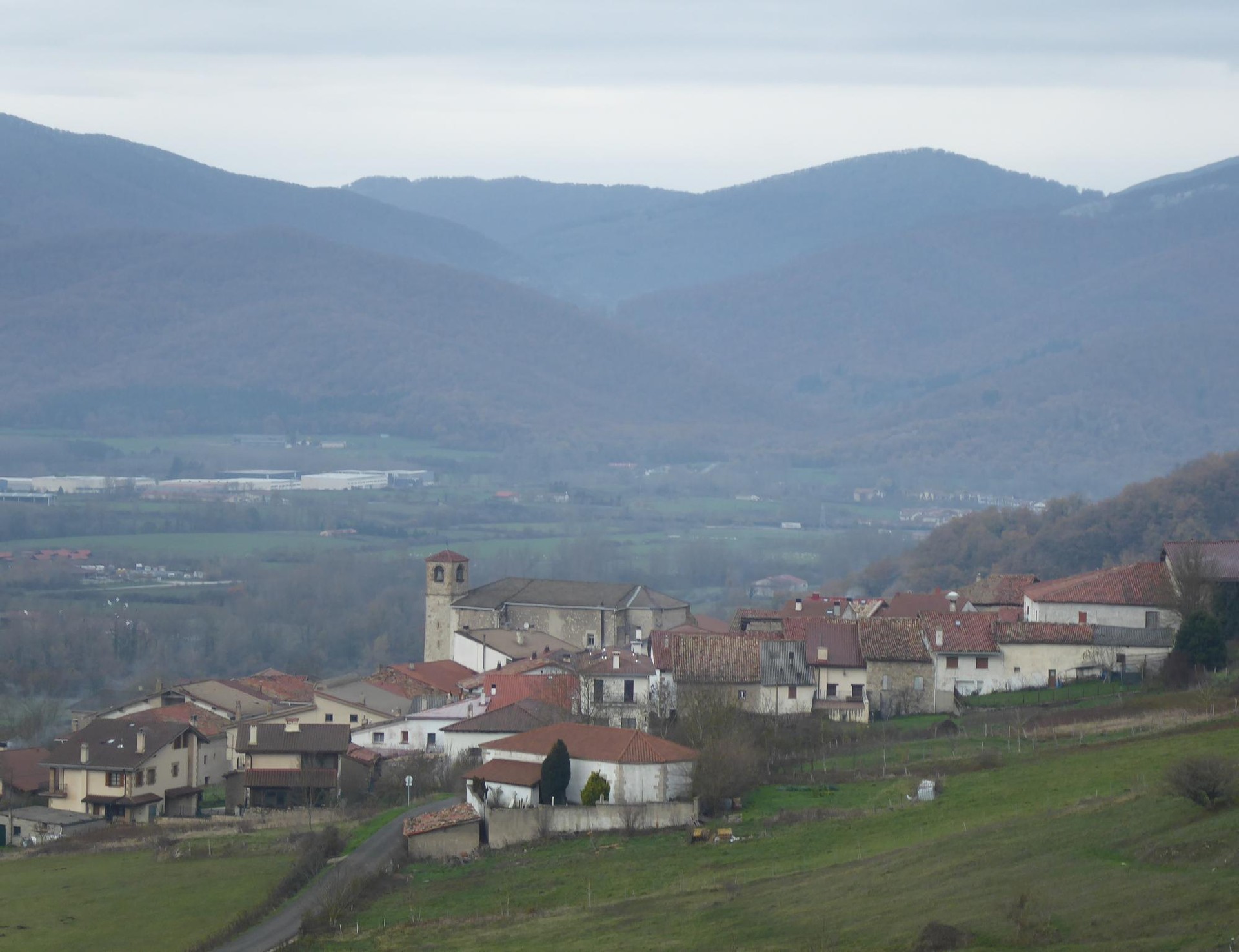 Etxebizitzak, saldu bai, alokatu ez