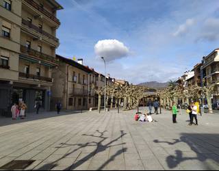 Taupak 'Euskaratik, hizkuntza guztiekin' manifestua zabaldu du