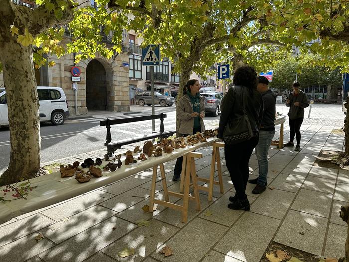 Ziza eta landareen erakusketa