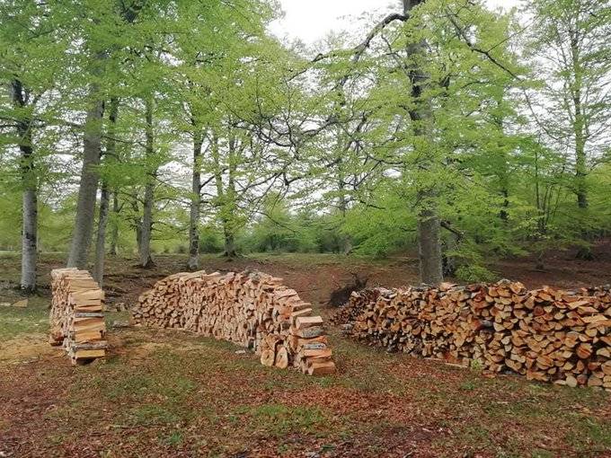 Baso aprobetxamenduak Aralarren