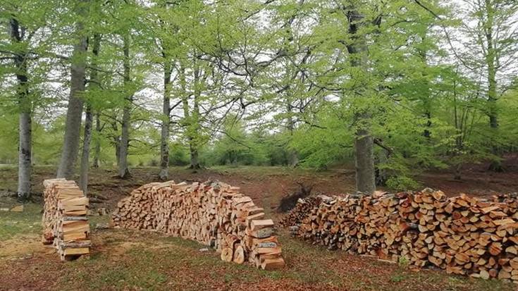 Baso aprobetxamenduak Aralarren