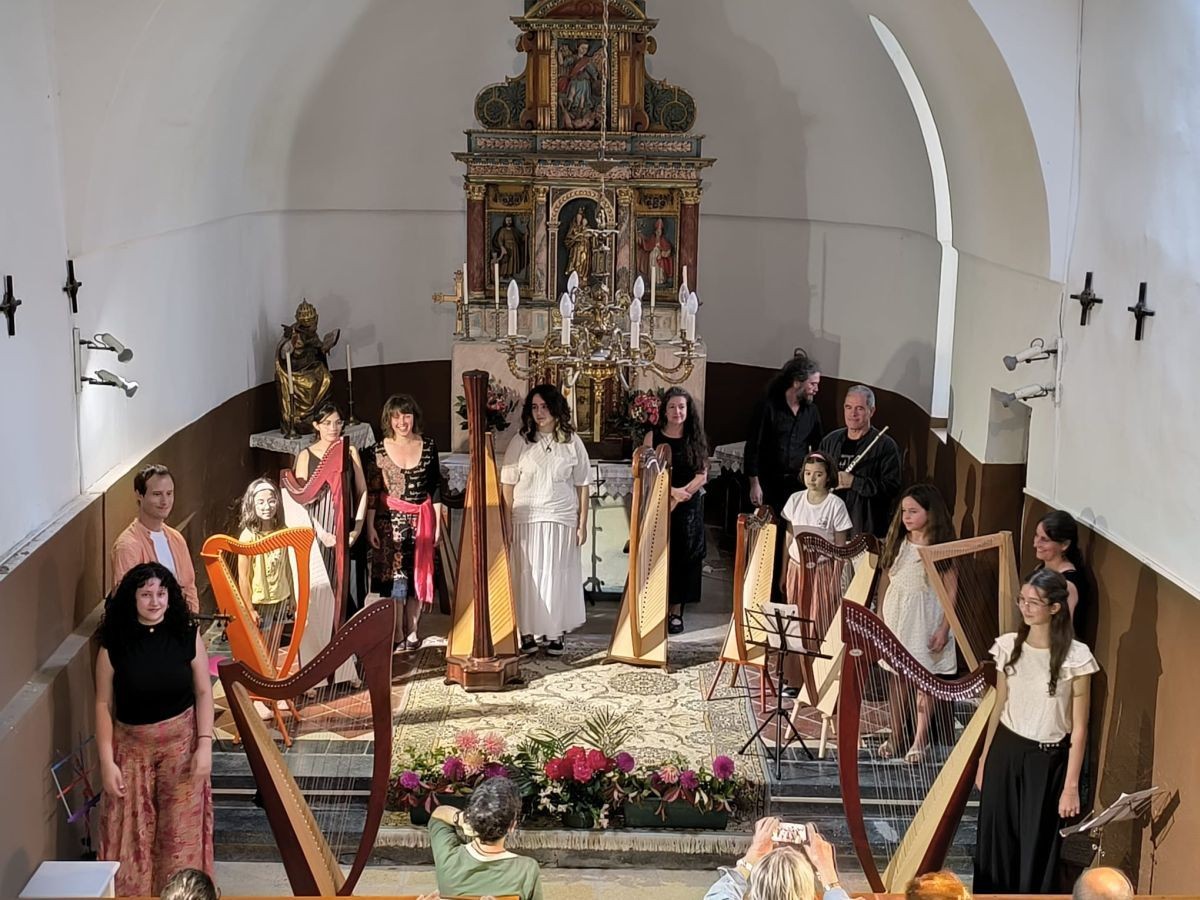 Musikaren aspektu soziala