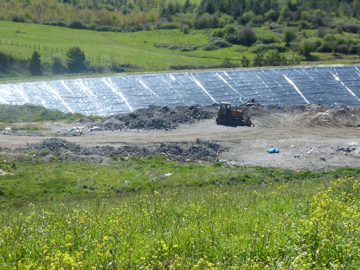 Ekogunearen araudian aldaketa