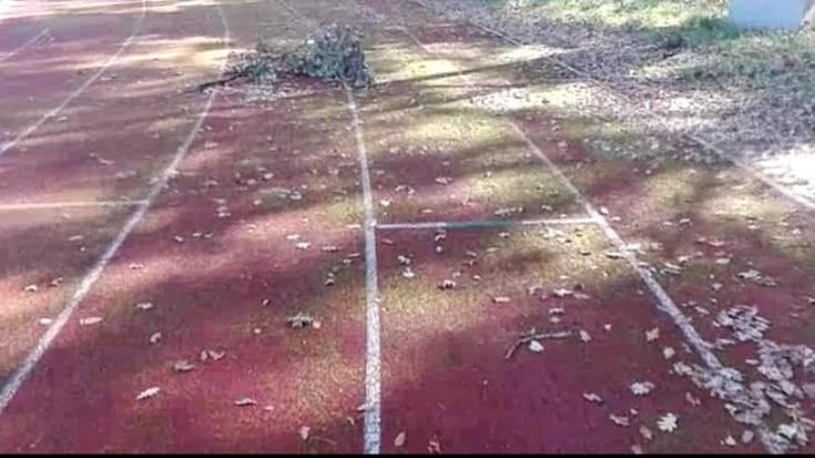 Dantzalekuko atletismo pisten mantentze lanak egitea eskatu dio Udalari Dantzaleku Sakana taldeak