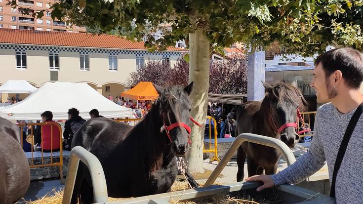 Bertako Ganadu Azoka izanen da Irurtzunen