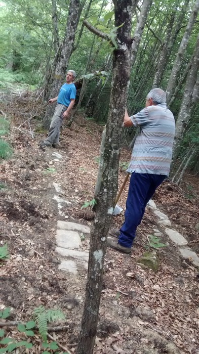 Bernoako galtzada azaleratzen segitzen dute